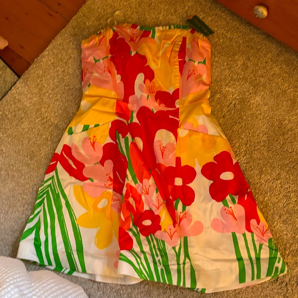 Lilly Pulitzer dress